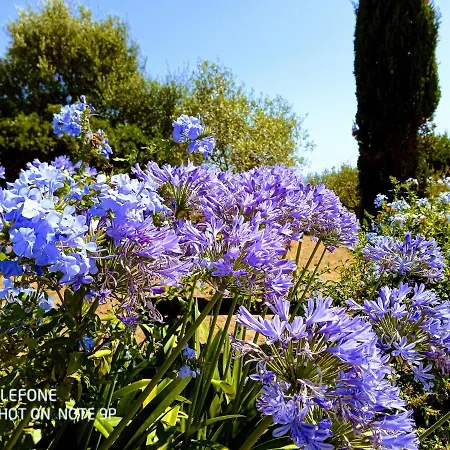 Arcamyrtus Landsted Alghero